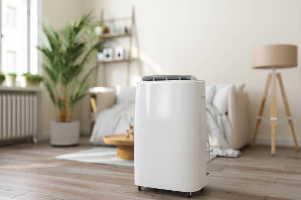 Best Air Filters and Purifiers in Crescent City, FL